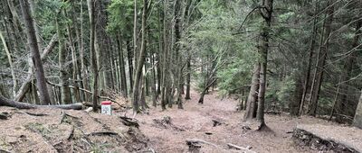 Przełęcz pod Szpiczakiem ↔ Ruprechtický Špičák