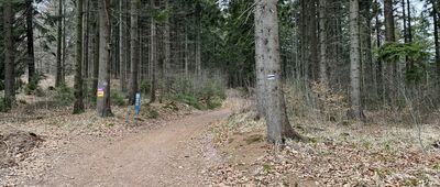Przełęcz pod Szpiczakiem
