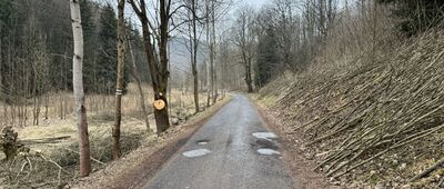 Łomnica, Dopływ spod Radosnej ↔ Javorový vrch, krzyż