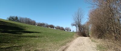 Białowodzka Góra ↔ Łazy Marcinkowickie