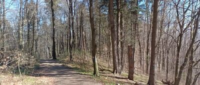 Białowodzka Góra ↔ Odejście na platformę widokową