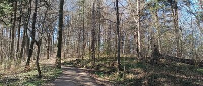 Odejście na platformę widokową