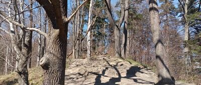 Platforma widokowa na Górze Zamczysko