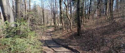Rezerwat Białowodzka Góra nad Dunajcem