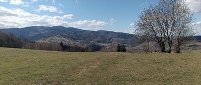 Skrzyżowanie szlaków