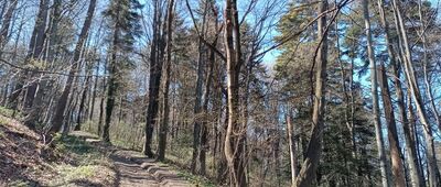 Rezerwat Białowodzka Góra nad Dunajcem