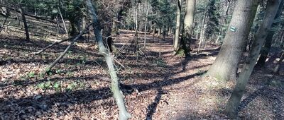 Rezerwat Białowodzka Góra nad Dunajcem