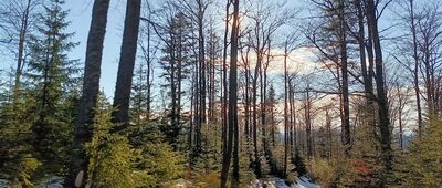 Bacówka PTTK Nad Wierchomlą ↔ Runek