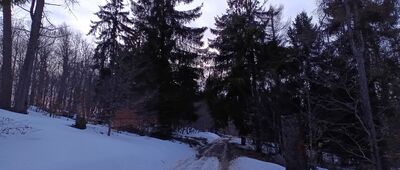 Łabowska Hala ↔ Schronisko PTTK Hala Łabowska