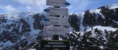 Schronisko PTTK Samotnia