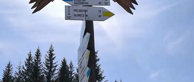 Polana w Karkonoszach