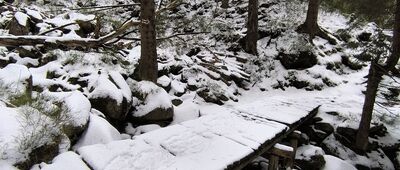 Pod Rozdrożem pod Wielkim Szyszakiem