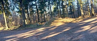 Droga "Tarcie Chrzanu" ↔ Jabłów