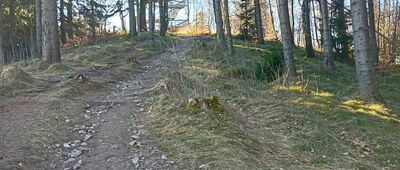 Trójgarb ↔ Przełęcz pod Trójgarbem