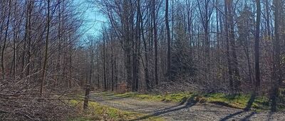 Rozdroże pod Czernicą