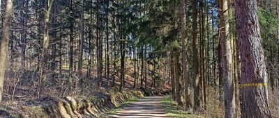 Pod Mrowicą ↔ Rozdroże pod Czernicą