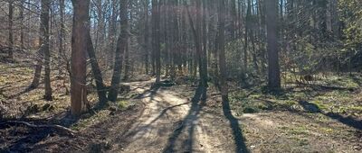Dolina Chwaliszówki