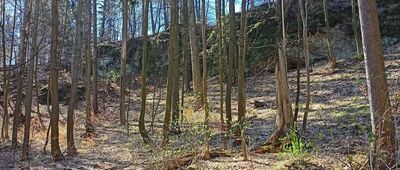 Pod Mrowicą ↔ Struga, odejście szlaku niebieskiego