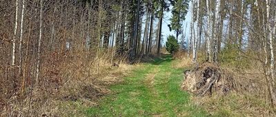 Skrzyżowanie szlaków niebieski / żółty ↔ Struga