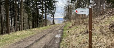 Ścieżka do szybu Louis