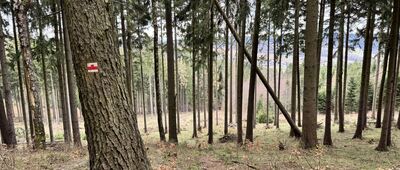 Ścieżka na Żeleźniak ↔ Żeleźniak