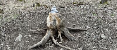 Rozejście szlaków ↔ Rozdroże pod Marcińcem