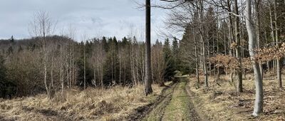 Rozdroże pod Rogaczem ↔ Rozdroże pod Marcińcem