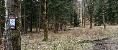 Rozdroże pod Rogaczem