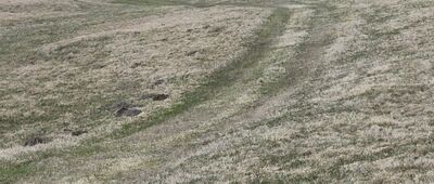 Pod Pustelnikiem ↔ Pod Pasterską Górą