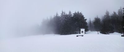 Polana Jaworzyna Kamienicka [Polana Jaworzyna Kamienicka (marzec 2026)]