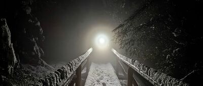 Górska olszyna bagienna ↔ Trusiówka, odejście ścieżki edukacyjnej