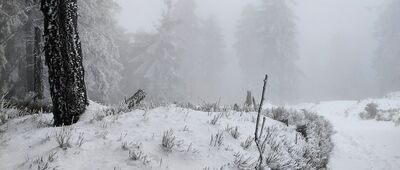 Trzy Kopce ↔ Polana Jaworzyna Kamienicka