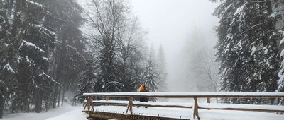 Brukowana Droga ↔ Przełęcz Borek