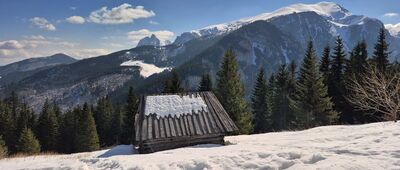 Polana Stoły [Widok na Ciemniak z Polany na Stołach]