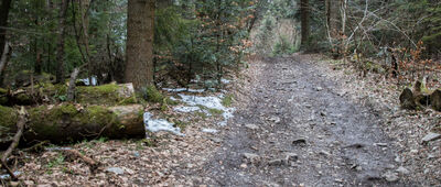 Ciecień ↔ Pod Cietniem