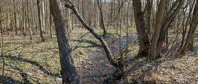 Pod Jaworową