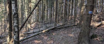 Przełęcz pod Wilkowyją ↔ Pod Jaworową