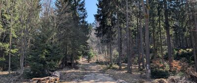 Rozdroże pod Wilkowyją