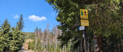 Przełęcz pod Bobrzakiem