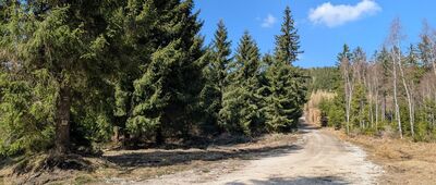 Przełęcz pod Bobrzakiem