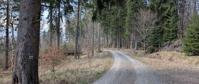 Stary Trakt Kamiennogórsko-Kowarski