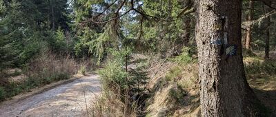 Stary Trakt Kamiennogórsko-Kowarski ↔ Przełęcz pod Bobrzakiem