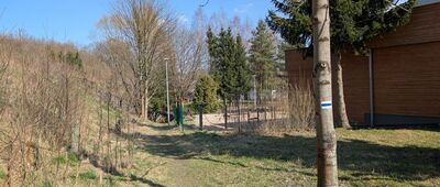 Pisarzowice