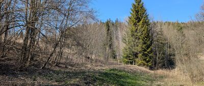 Czarnów ↔ Rędziny