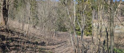 Czarnów ↔ Rędziny