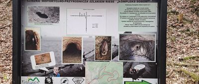 Stawy nad Głuszycą ↔ Kompleks Soboń