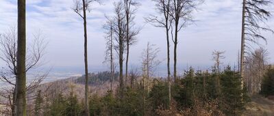 Pod Żarnowcem ↔ Równica [Z tego samego miejsca widok na Żar.]