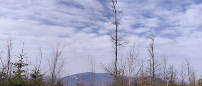 Równica, parking ↔ Droga na Równicę [Miniprzerwa na paprykarz z widokiem na Czantorię.]