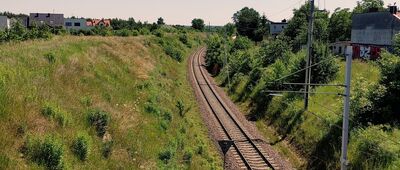 Zgierz, dworzec kolejowy ↔ Dąbrówka-Strumiany