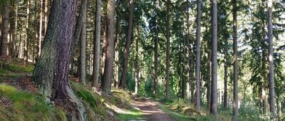 Pod Przełączką ↔ Karpacz, ul. Sosnowiecka